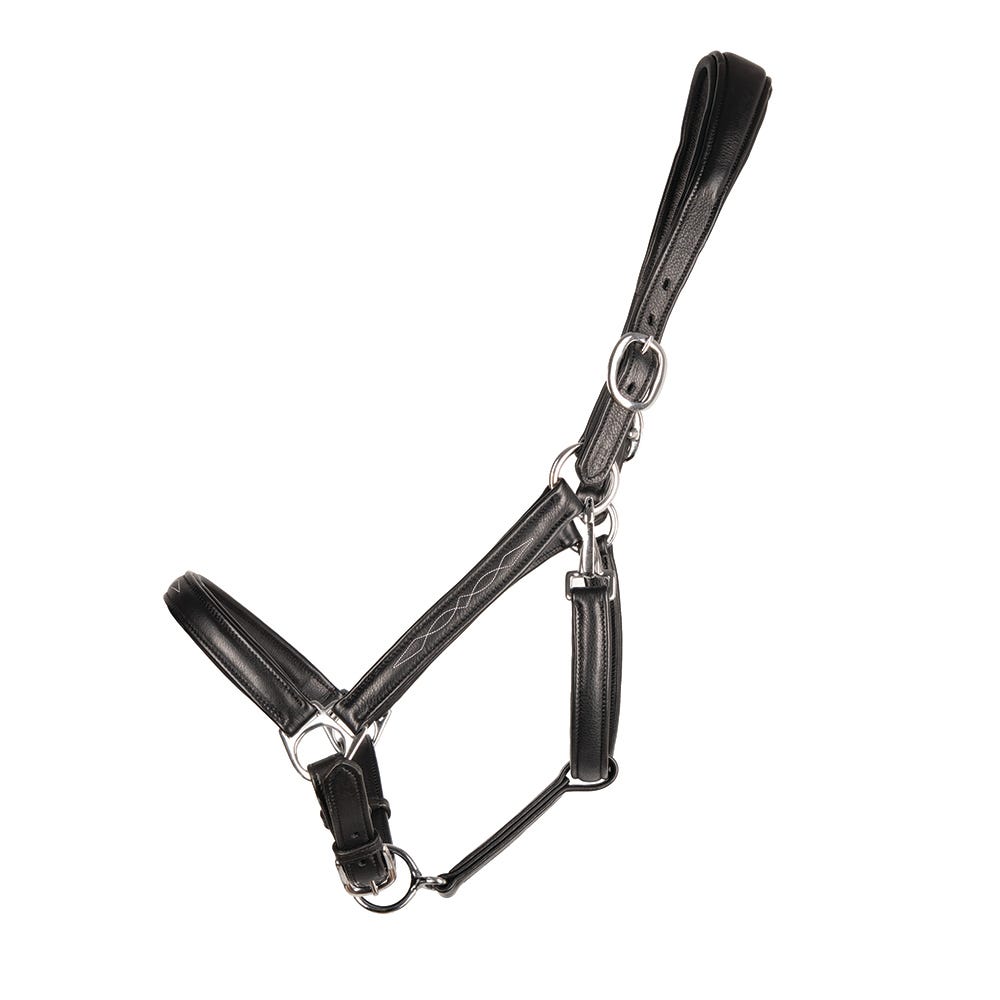 ProPresicce Softy Leather Head Collar by Hy Equestrian image 1